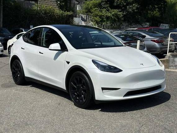 TESLA MODEL Y 2023 7SAYGDEE7PF691407 image